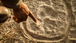 Guide MAXwell zeigt  ein Löwen Print